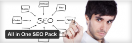 all in one seo pack